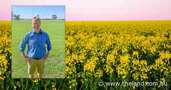 The key to achieving good canola establishment ahead of sowing season