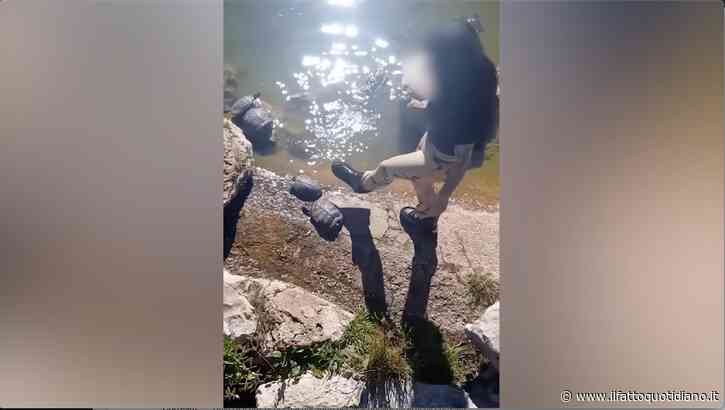 Calci e sigarette contro alcune tartarughe a Bari: Lav denuncia due ragazze dopo un video social