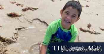 Six-year-old boy killed in alleged hit-run identified, 84yo woman released from custody