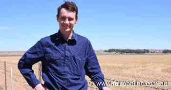 Dry growers through SA, Vic urged to minimise plantback risk in rotation