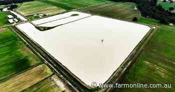 Massive drainage dam powers high producing fodder farm in northern Victoria
