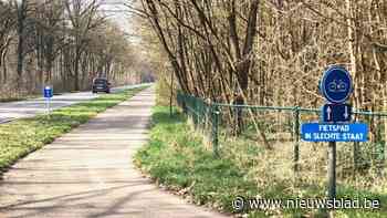 Gehavend fietspad langs de Daalbroekstraat in Rekem krijgt facelift