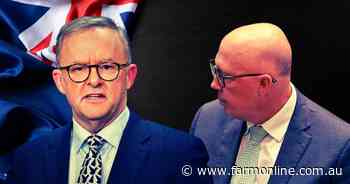 Albanese says 'you choose the way' after calling May 3 election