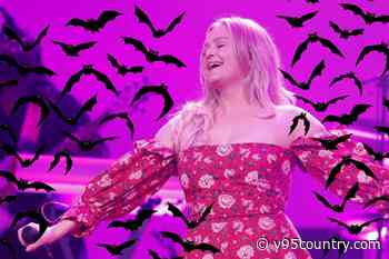 A Toilet Bat Forced Hailey Whitters to Get Five Rabies Shots