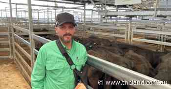 Tamworth agent granted bail on serious DV charges