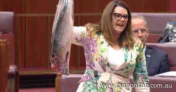 Canberra Chaos: May 3 election odds, APVMA appointments,Trump to Australia?