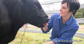 Aus lotfeeders' carbon footprint blown out by about 43pc - this could change