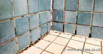 Remove mould stains from grout and silicone sealants in 2 hours with 1 natural item