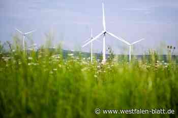 Stadt soll Einfluss auf Windpark nehmen