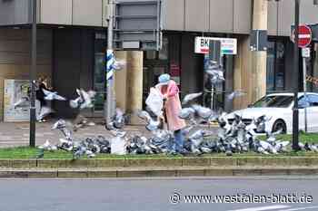 FDP drängt auf schnelles Fütterungsverbot für Tauben