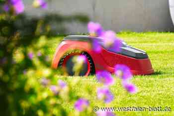 Vorerst kein Nachtfahrverbot für Mähroboter im Kreis Herford