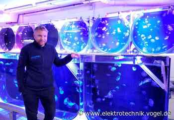 Hightech-Lösungen für die Zucht filigraner Schönheiten