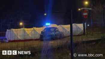 Murder arrest over 'road rage' van death