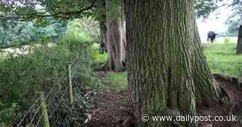 'Toll charge' call over renewed proposal to build controversial 'Red Route' road