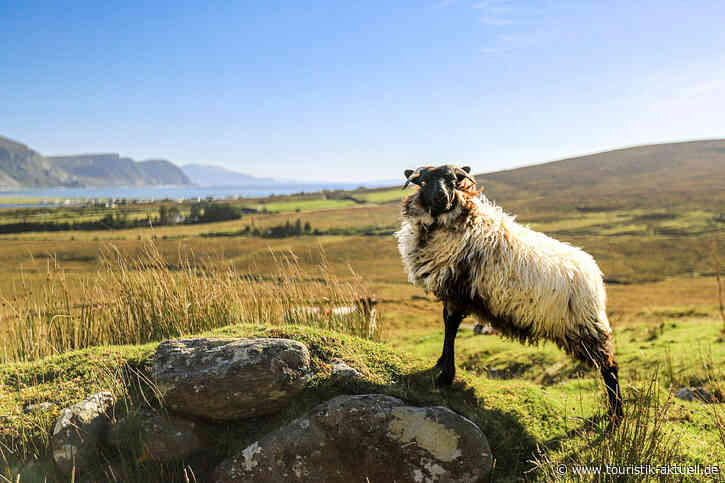 Irland: Wachsende Besucherzahlen, mehr Flugkapazitäten