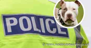 Herts police dog kennelling costs revealed