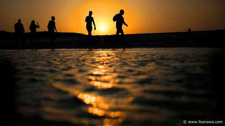 6 dead after tourist submarine sinks off Egypt's coast: officials