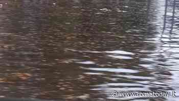 Si rompe una conduttura: allagata la via Nomentana