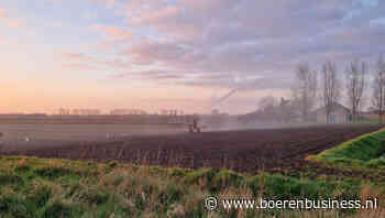 Uien beregenen voor 1 april: noodzaak of overbodig?