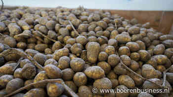 Franse verwerking ontdekt het 'Clarebout-effect'