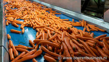 Groot aanbod duwt peenprijs verder omlaag