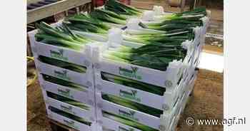 "Britse vraag werd vooral beïnvloed door importprei"