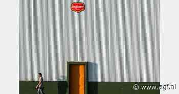 Del Monte neemt meerderheidsbelang in avocado-olieverwerker Avolio