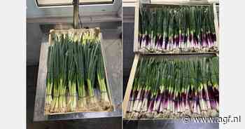 "Verhoogde prijzen voor bosuien compenseren gestegen kosten"