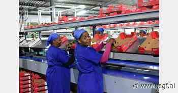 Avocadoverpakker biedt masterclass tijdens testseizoen