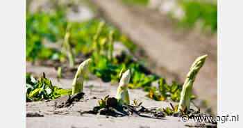 Robotontwikkelaars gaan uitdagingen aan