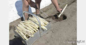 Start Duits aspergeseizoen overschaduwd door import en hoge lonen