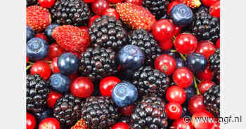 Roemeense ondernemers bouwen pakstation voor zachtfruit in Hunedoara