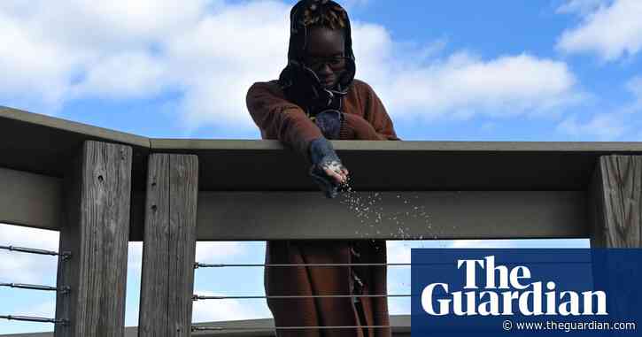 ‘We live in both worlds’: how teachers of Gullah Geechee herbal medicine are cultivating tradition