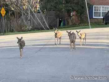 Morning Notes for March 28, 2025