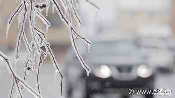 Freezing rain possible for Burlington, Ont., this weekend, Environment Canada says