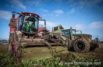 British Sugar wraps up sugar beet campaign in milestone centenary year