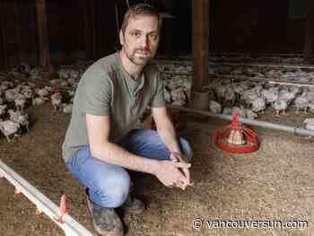 B.C.'s affordability issues overshadowed by tariffs in federal campaign, say voters