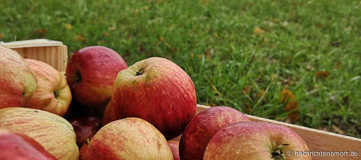 Höhere Wertschöpfung für Streuobst aus dem Bamberger Land
