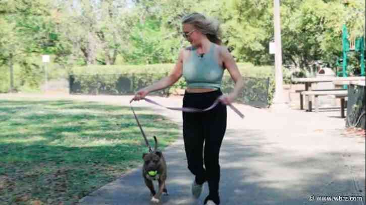 GET 2 MOVING: Companion Animal Alliance