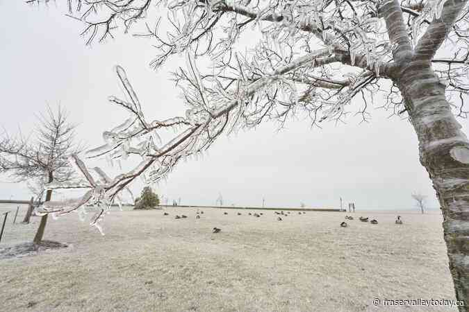Wintry conditions hitting much of Canada, commuter chaos and power outages possible
