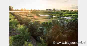 Wie redt het debat over de landbouw?