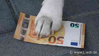Hundesteuer ohne Hund: Prozess endet mit Vergleich