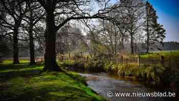Meerjarenplan moet de Dommel redden: “Maar het zal een werk van lange adem zijn”