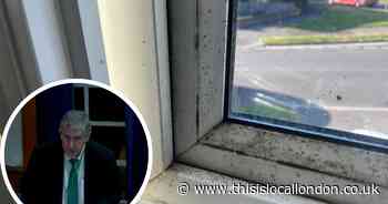 More than 600 reports of damp and mould at council homes since October