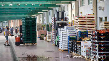 Il Centro Agroalimentare Roma approva il bilancio 2024: utili in crescita in attesa del maxi progetto d'ampliamento
