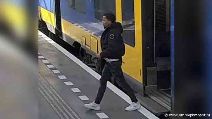 Drie mannen opgepakt na massale vechtpartij op station