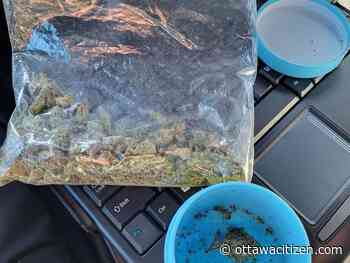 Man fined $215 after admitting having marijuana available in car