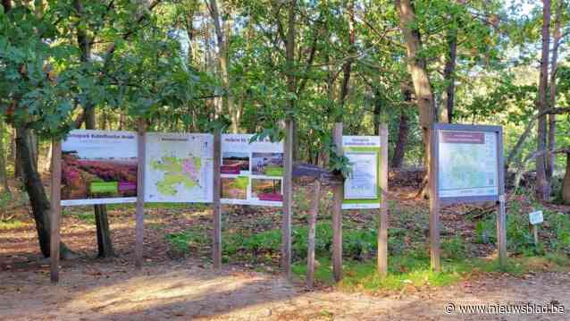 GroenRand trekt zich volledig terug uit ‘Nationaal Park Kalmthoutse Heide’: “Ons activisten noemen, is een brug te ver”