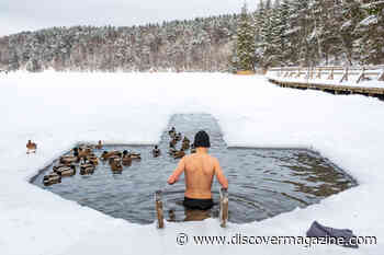 Are Cold Water Plunges Actually Good For You?