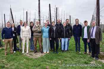 Fruitigste gemeente van West-Vlaanderen stippelt meerdere bloesemroutes uit: “Nieuw dit jaar is onze packraft-wandeltocht”